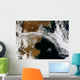 Ash Plume from Eruption Wall Decal