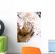 Dust Storm Northern China Wall Decal Design 2