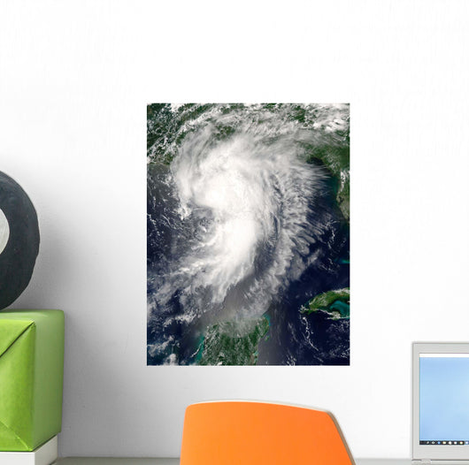 Tropical Storm Cindy Wall Decal