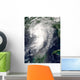 Tropical Storm Cindy Wall Decal