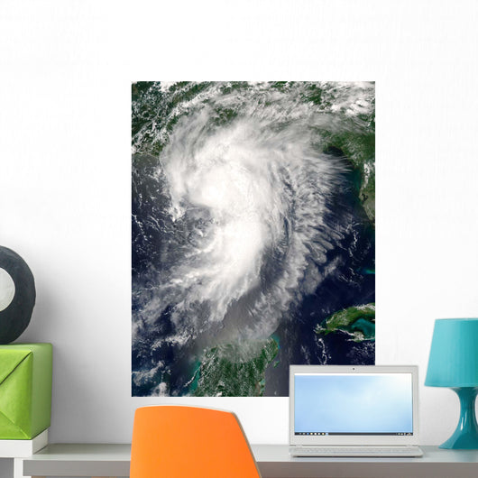 Tropical Storm Cindy Wall Decal
