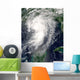 Tropical Storm Cindy Wall Decal