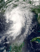 Tropical Storm Cindy Wall Decal