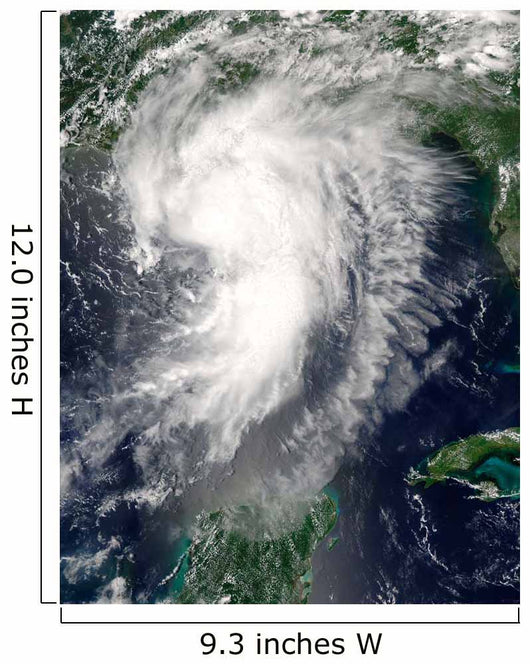Tropical Storm Cindy Wall Decal