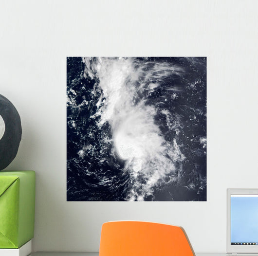 Tropical Storm Dolly Wall Decal