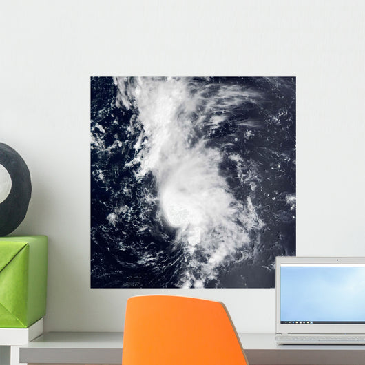 Tropical Storm Dolly Wall Decal