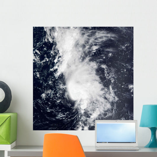 Tropical Storm Dolly Wall Decal