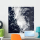 Tropical Storm Dolly Wall Decal