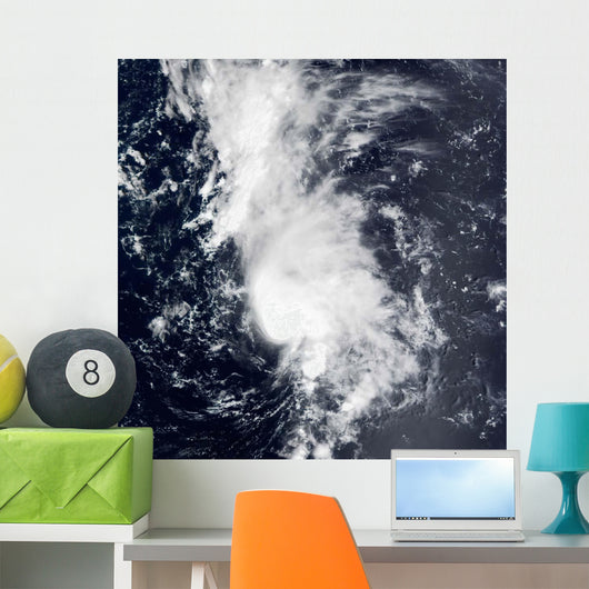 Tropical Storm Dolly Wall Decal