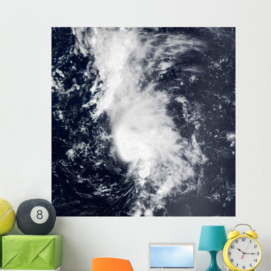 Tropical Storm Dolly Wall Decal
