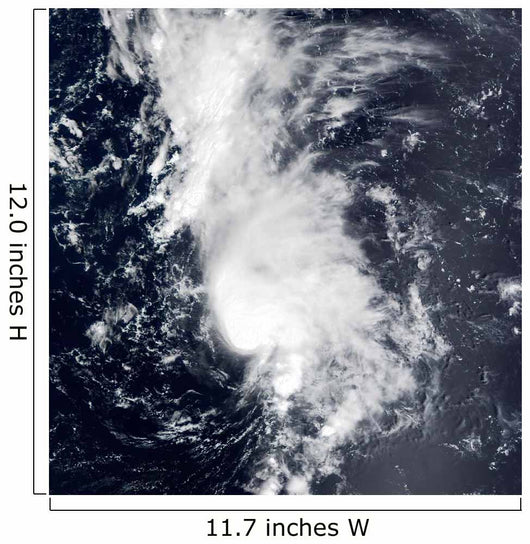 Tropical Storm Dolly Wall Decal