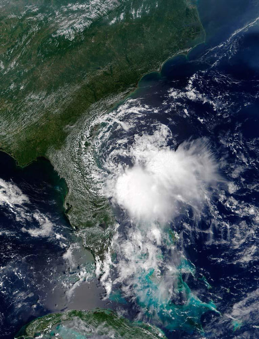 Tropical Storm Edouard Wall Decal