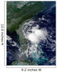 Tropical Storm Edouard Wall Decal