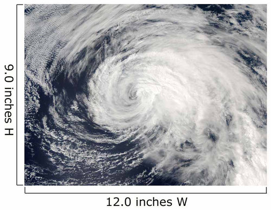 Tropical Storm Ele Central Wall Decal