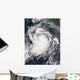 Hurricane Elida Wall Decal Design 1