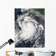Hurricane Elida Wall Decal Design 1