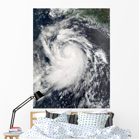 Hurricane Elida Wall Decal Design 1
