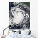 Hurricane Elida Wall Decal Design 1