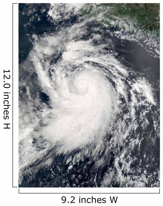 Hurricane Elida Wall Decal Design 1