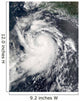 Hurricane Elida Wall Decal Design 1