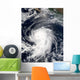 Hurricane Elida Wall Decal Design 2