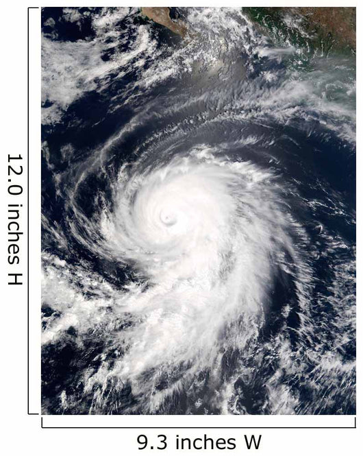 Hurricane Elida Wall Decal Design 2
