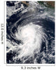 Hurricane Elida Wall Decal Design 2