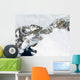 Summer Thaw around Ellesmere Wall Decal