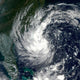 Tropical Storm Gustav Wall Decal Design 1