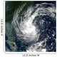 Tropical Storm Gustav Wall Decal Design 1
