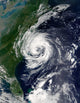 Tropical Storm Gustav Wall Decal Design 2
