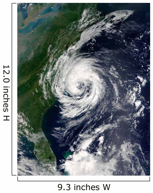 Tropical Storm Gustav Wall Decal Design 2
