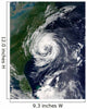 Tropical Storm Gustav Wall Decal Design 2
