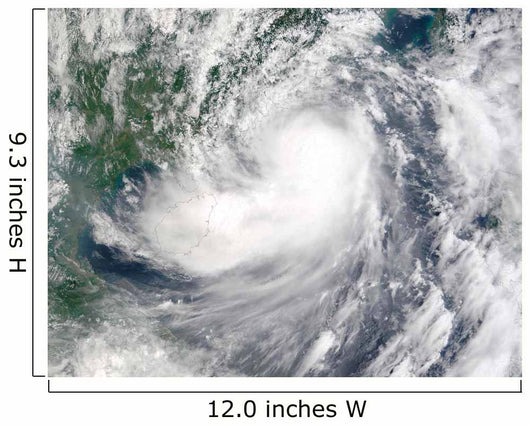 Tropical Storm Hagupit Wall Decal