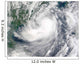 Tropical Storm Hagupit Wall Decal
