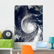 Hurricane Hernan Wall Decal