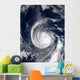 Hurricane Hernan Wall Decal
