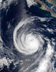 Hurricane Hernan Wall Decal