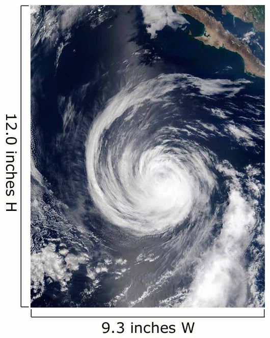 Hurricane Hernan Wall Decal