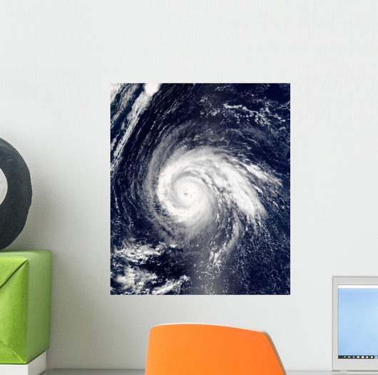 Typhoon Higos Wall Decal