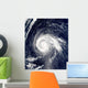 Typhoon Higos Wall Decal