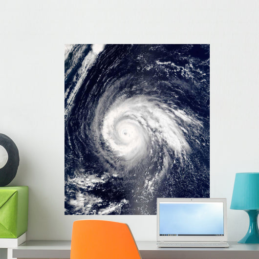 Typhoon Higos Wall Decal