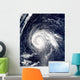 Typhoon Higos Wall Decal