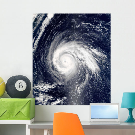 Typhoon Higos Wall Decal