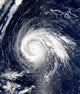 Typhoon Higos Wall Decal