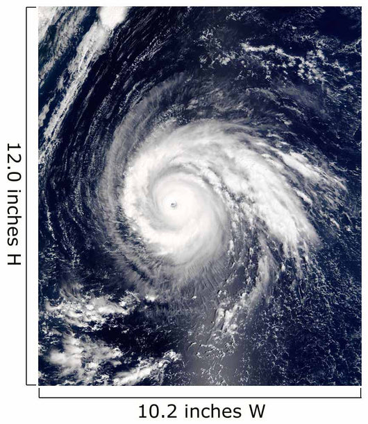 Typhoon Higos Wall Decal