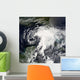 Tropical Storm Alberto Wall Decal