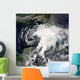 Tropical Storm Alberto Wall Decal