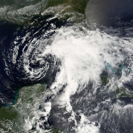 Tropical Storm Alberto Wall Decal