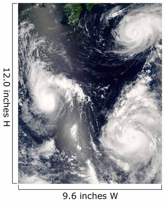Three Different Typhoons Spinning Wall Decal